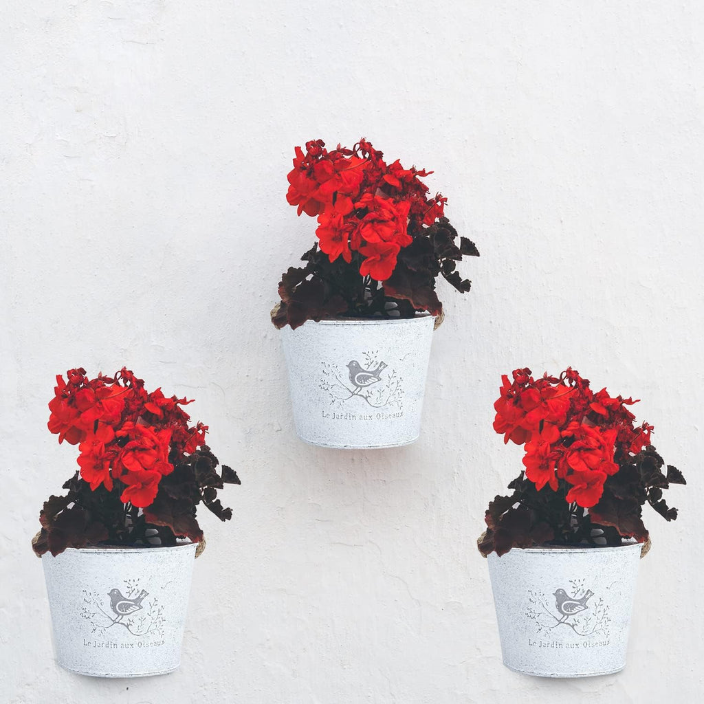 XONOR 4Pcs Galvanized Metal Wall Planter- Wall Hanging Bucket Vintage Rustic Flowers Vase Planter Holder with Rope for