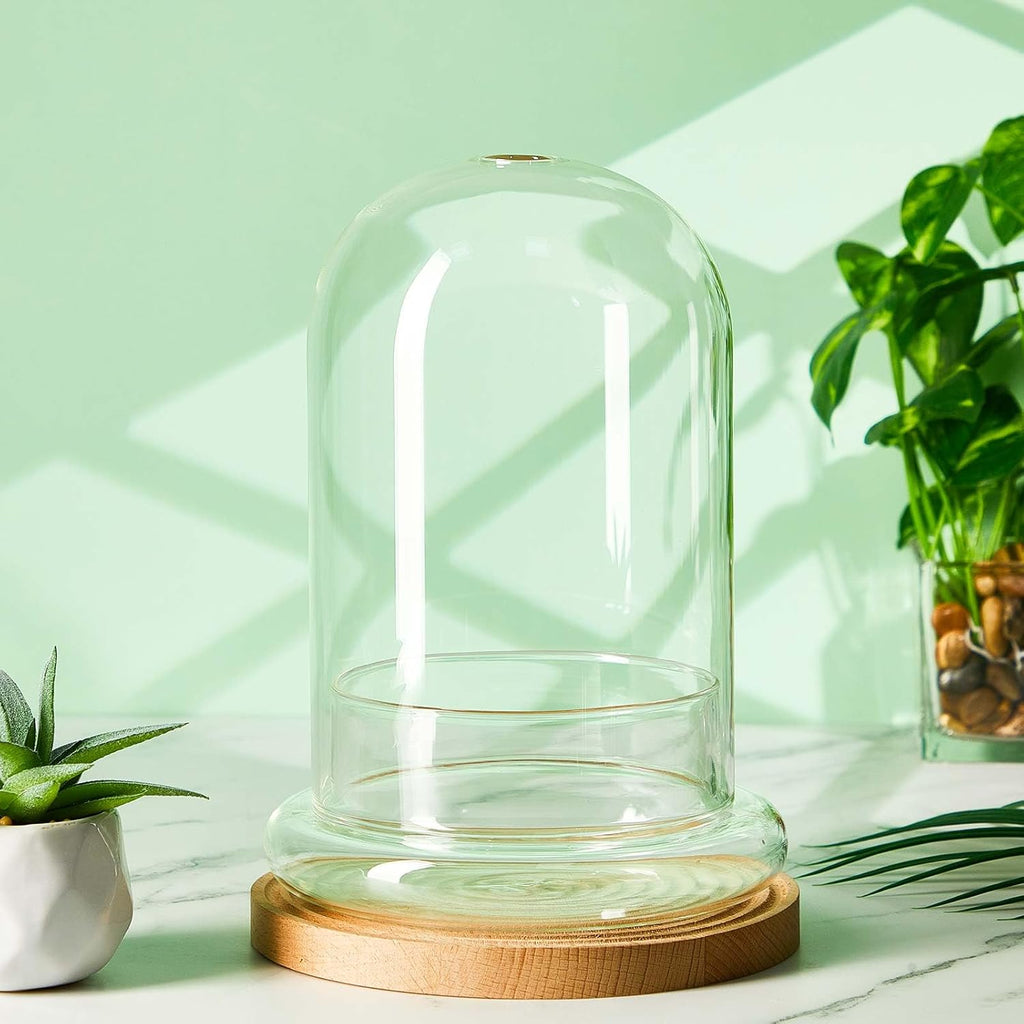 1 PC 5.9 x 7.9 Inch Glass Terrarium Dome Cloche with Air Hole & Glass Base, Clear Terrarium Containers Ventilated Plant