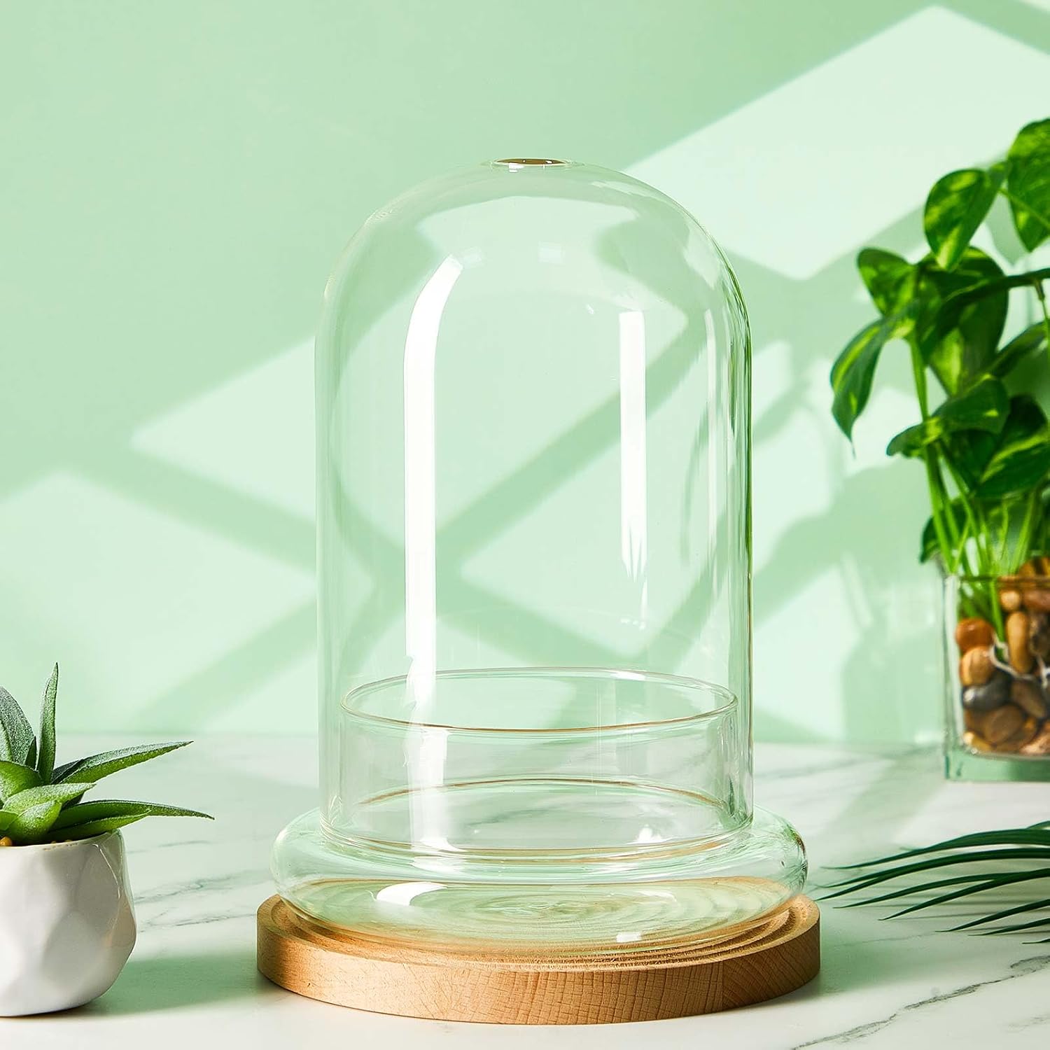 1 PC 5.9 x 7.9 Inch Glass Terrarium Dome Cloche with Air Hole & Glass Base, Clear Terrarium Containers Ventilated Plant