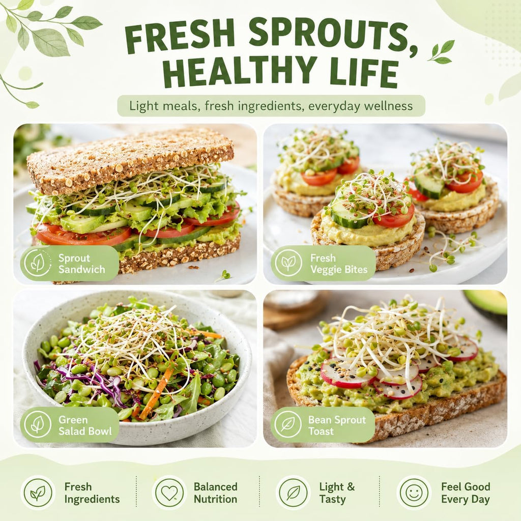Seed Sprouting Jar Kit, 4 Pack 1000ml/34oz Mason Jars with Stainless Steel Lids, Stand, Tray & Brush for Fresh Sprouts