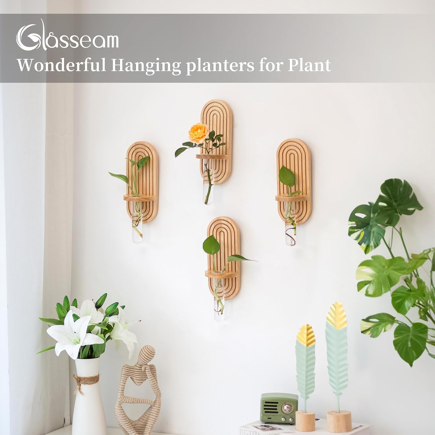 Glasseam Wall Plant Propagation Station: Hanging Glass Propagation Vases | Set of 3, Boho, Rustic Wooden Hydroponic