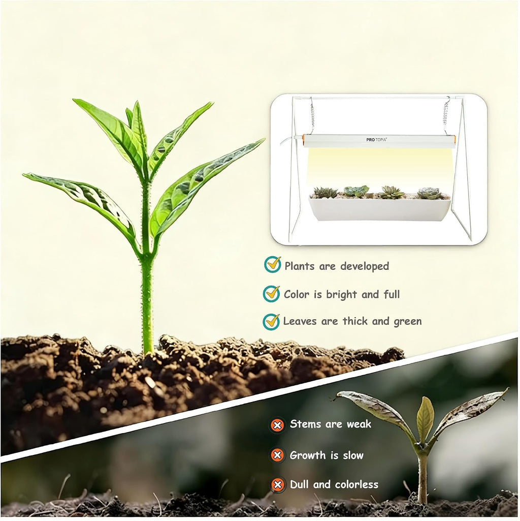 10W Grow Light Stand Kit for Indoor Plants, 2ft Plant Grow Rack with Full Spectrum, Enhanced Red Light for Flowering