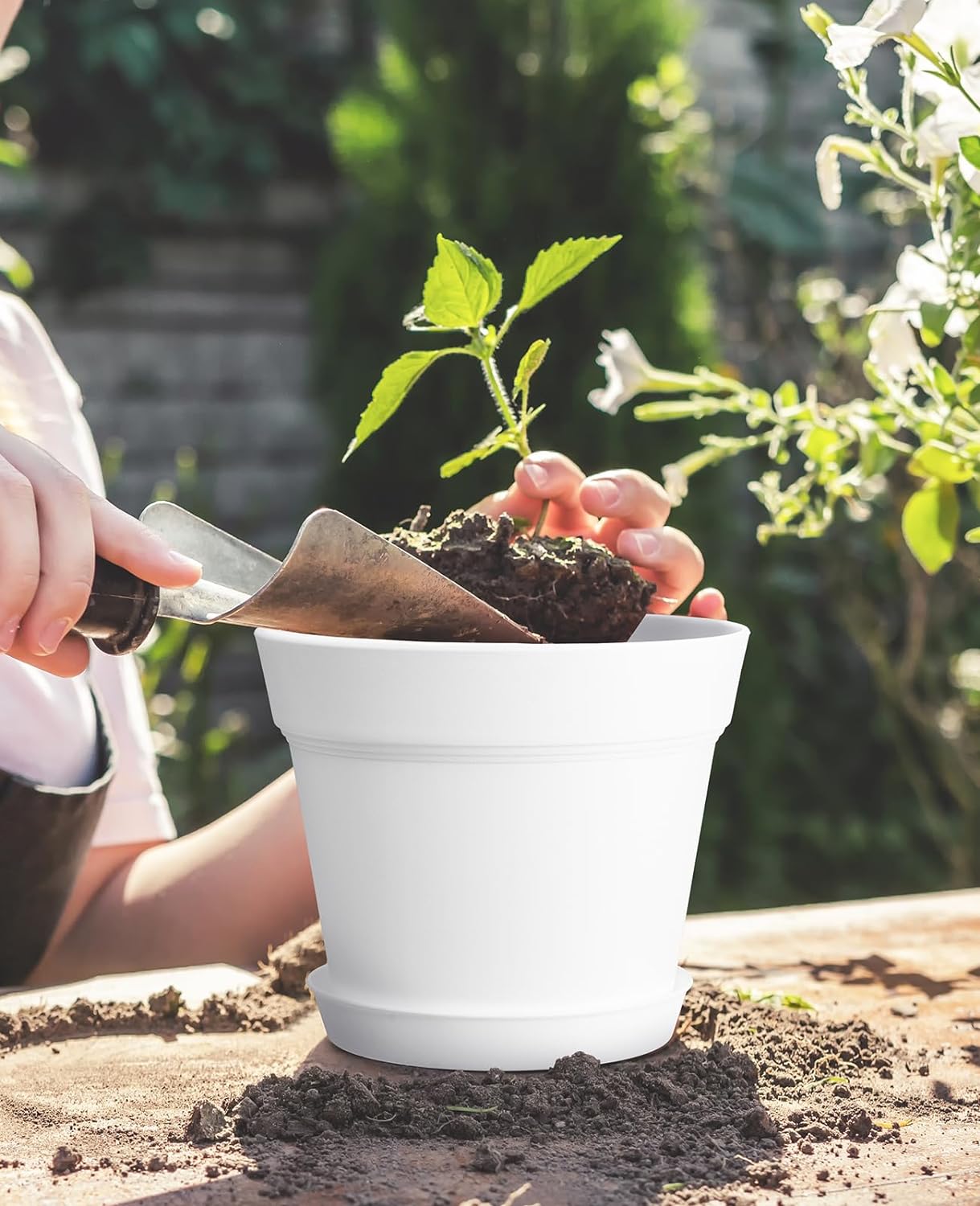 6 Inch Plastic Plant Pots with Drainage Holes and Trays (15 Pcs) | Cream white finish suits orchids, succulents, herbs