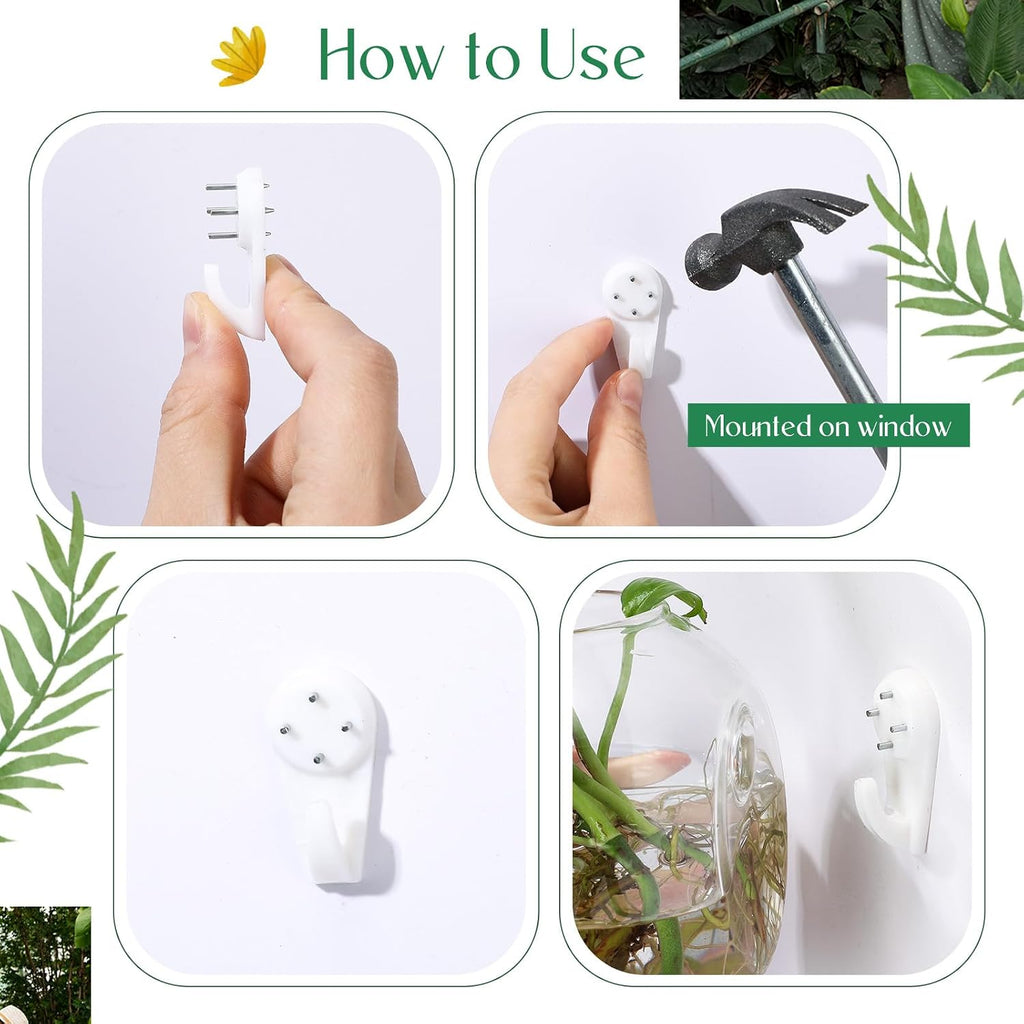 6 Pcs Glass Wall Hanging Vase Indoor Propagation Planter with Hanging Suction Cup and Plastic Invisible Traceless
