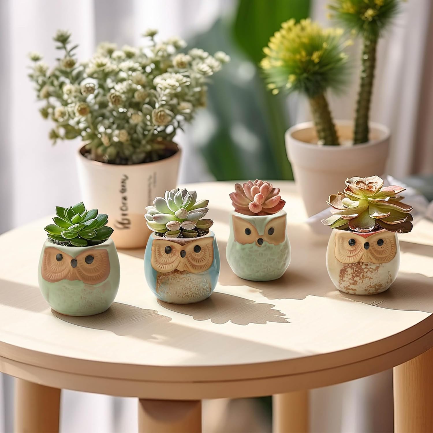 T4U Owl Succulent Pots, Mini Ceramic Gift Planter Set with Drainage 12 Pack | Cute owl design containers, for live