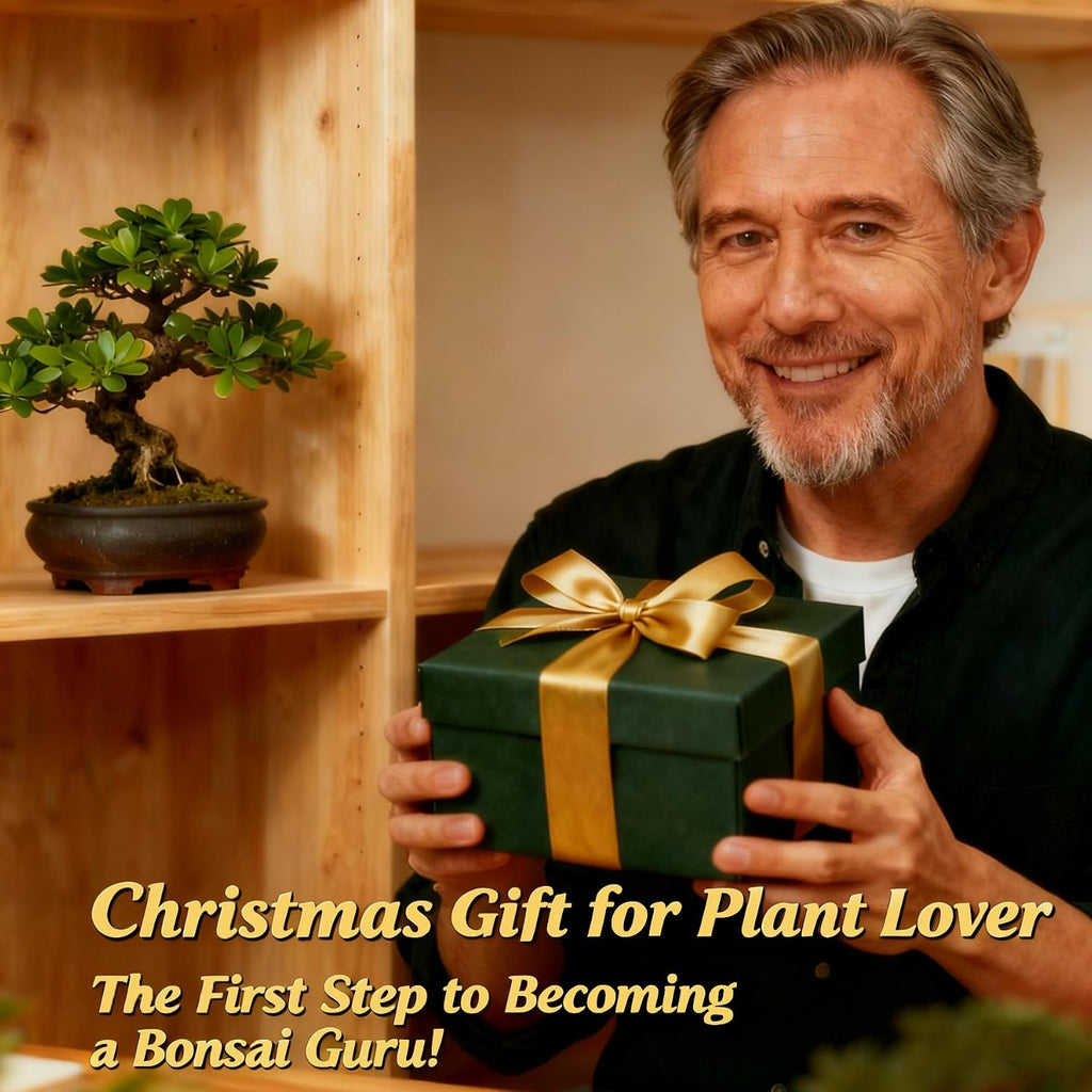 Bonsai Tree Starter Kit for Beginners - Indoor Live Plant Gardening Adult Craft DIY Kits - Unique Christmas, Birthday