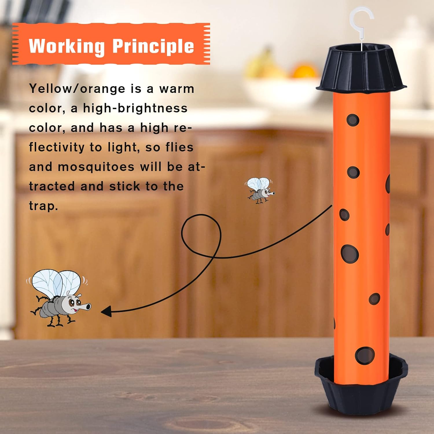 6 Pack Fruit Trap Indoor and Outdoor Sticky Fly Catcher, A2