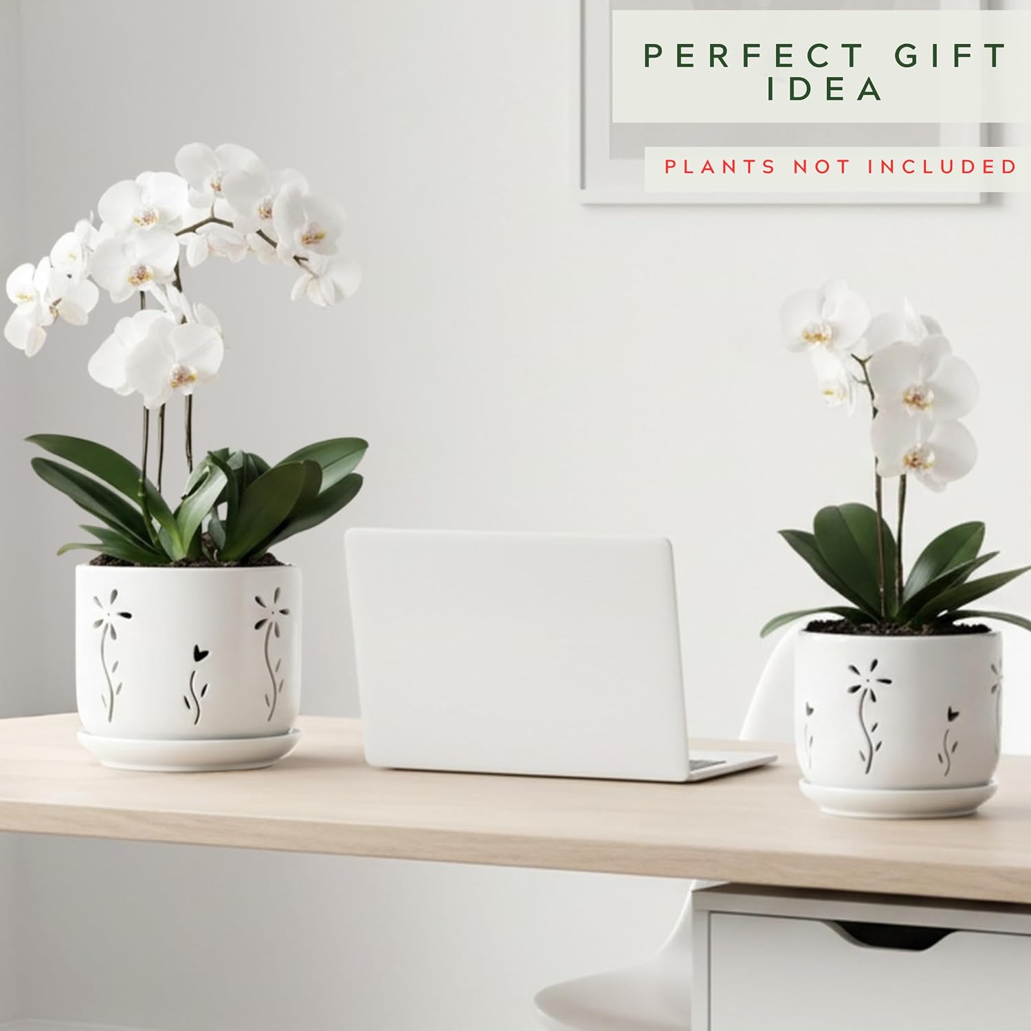 2 Pack, 5 + 6 Inch White Orchid Pots with Holes and Saucer, Ceramic Orchid Planters for Repotting with Drainage Holes