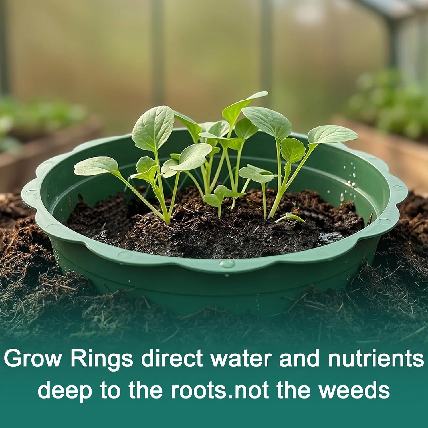 6 Pcs 10 Inch Planting Grow Rings, Planting Protective Edging,Plant Support Rings Deep Watering, Weed Blocking Round