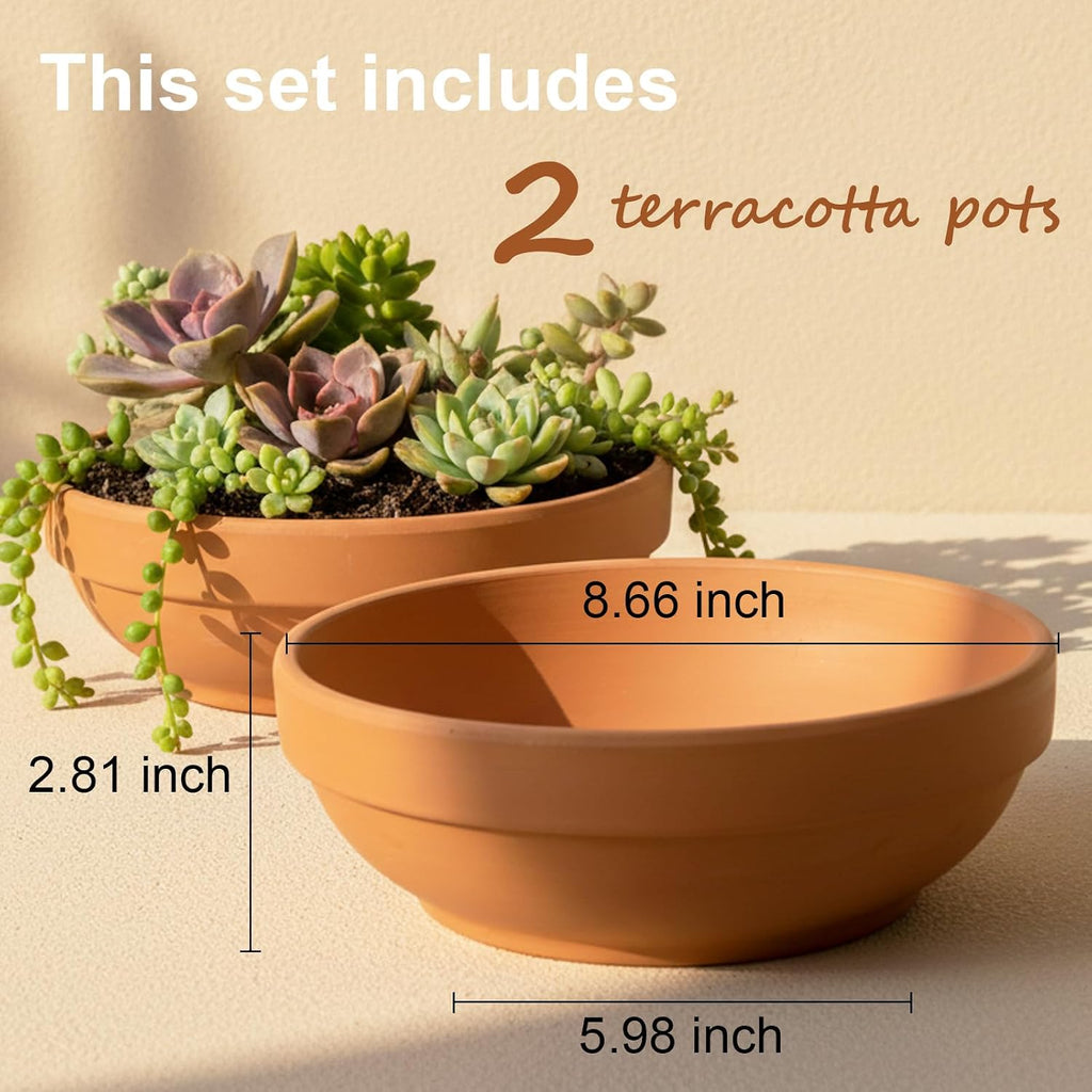 Laerjin Terracotta Pots with Drainage Holes, Large 2 Pack, 8.66 Inch | Ideal for gardeners growing cactus, succulents