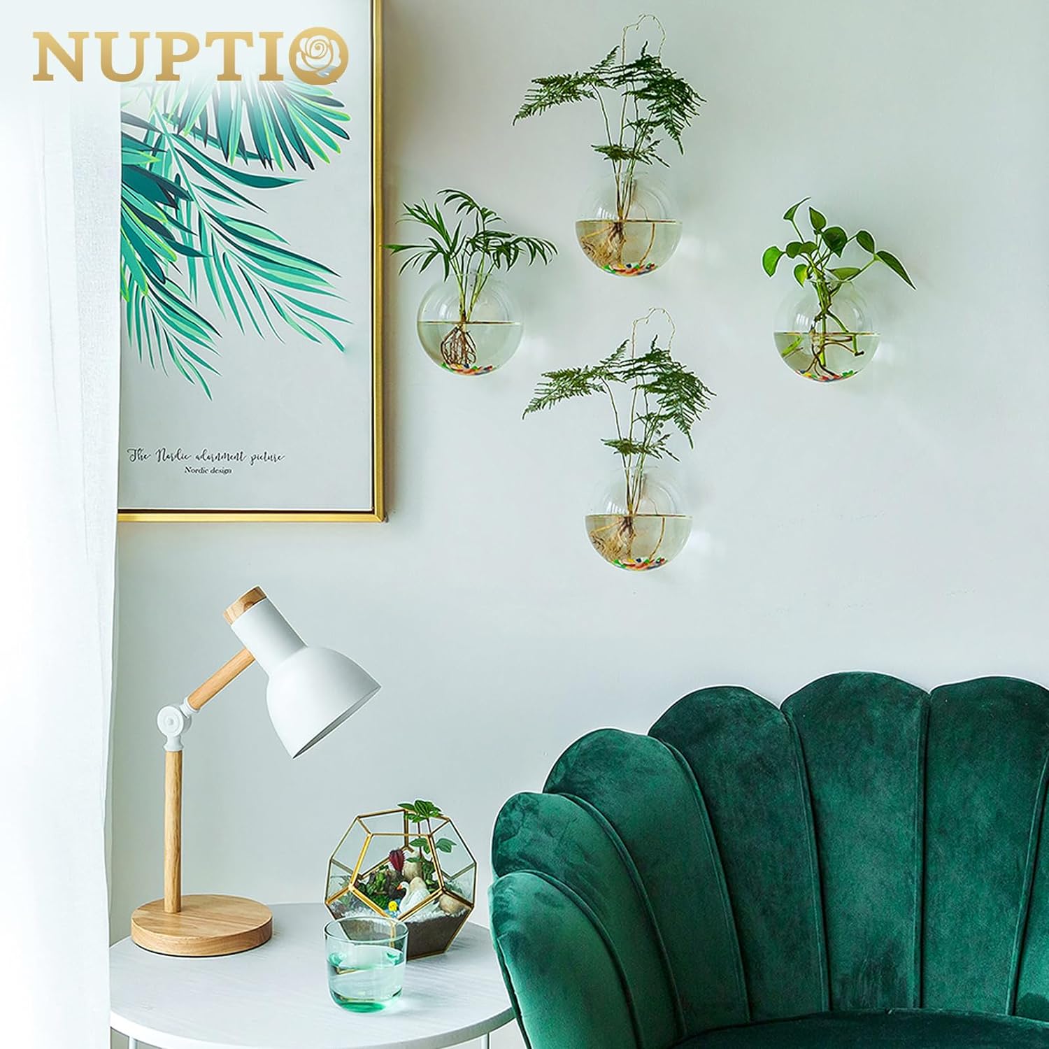 NUPTIO Glass Wall Hanging Planters: Propagation Station for Plants, 4 Pcs | Wall Mount Clear Vase, Terrarium for