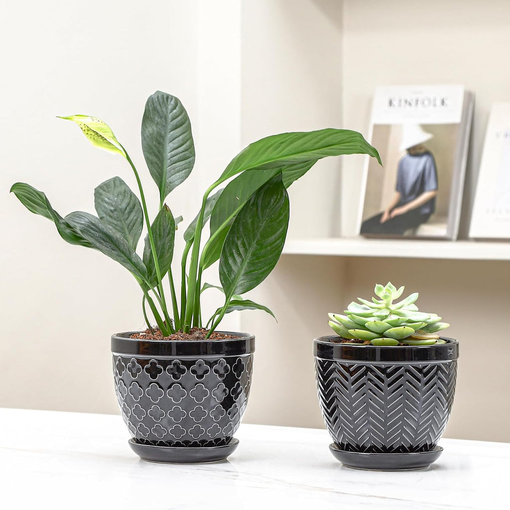 Sureasy Ceramic Indoor Plant Pots - 5.6 Inch Flower Pots for Plants with Drainage Hole and Saucer, Embossed Planter for