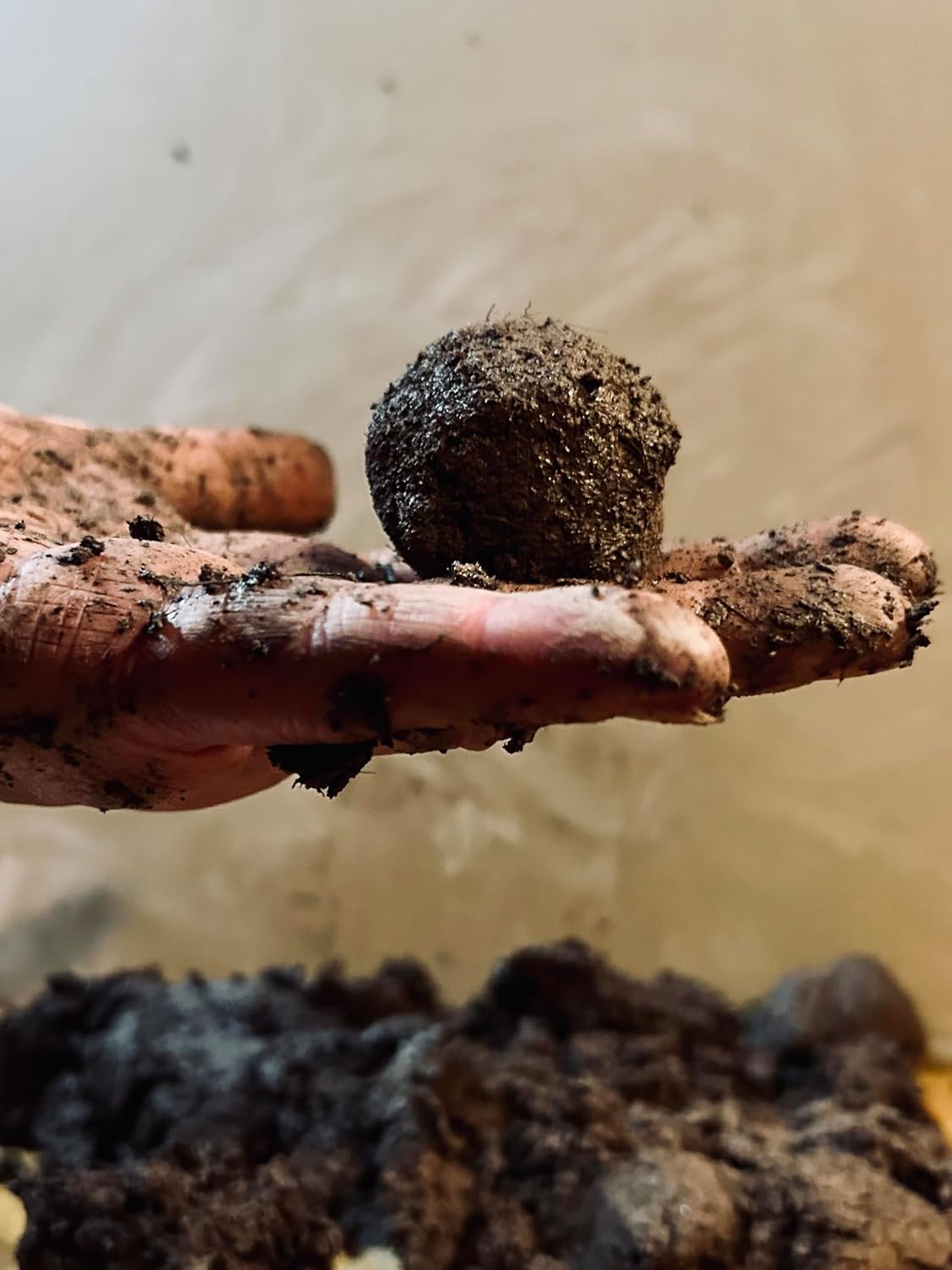 Seed Bomb Mud Mix - Make DIY Seedballs 1kg