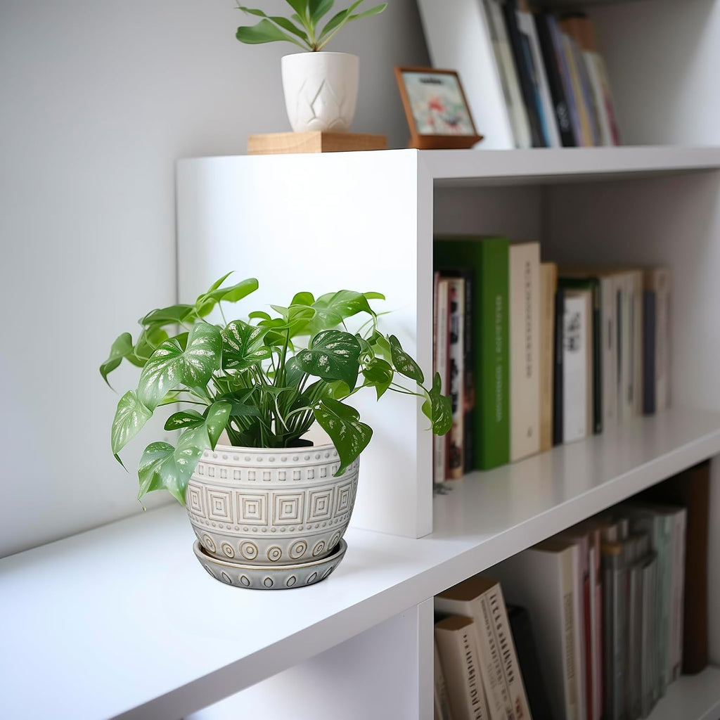 G EPGardening Ceramic Pots for Plants - 5 Inch Plant Pot Indoor with Drainage Hole and Saucer, Outdoor Flower Pot