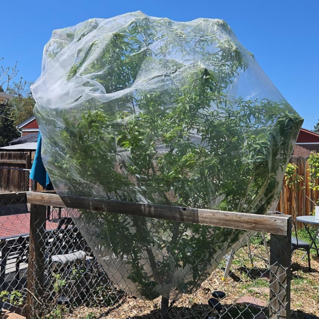 2 Pack 13x13 FT Fruit Tree Net Bags, Zipper Bird Net Cover for Apple Trees | Dual Zipper & Drawstring Design, Heavy