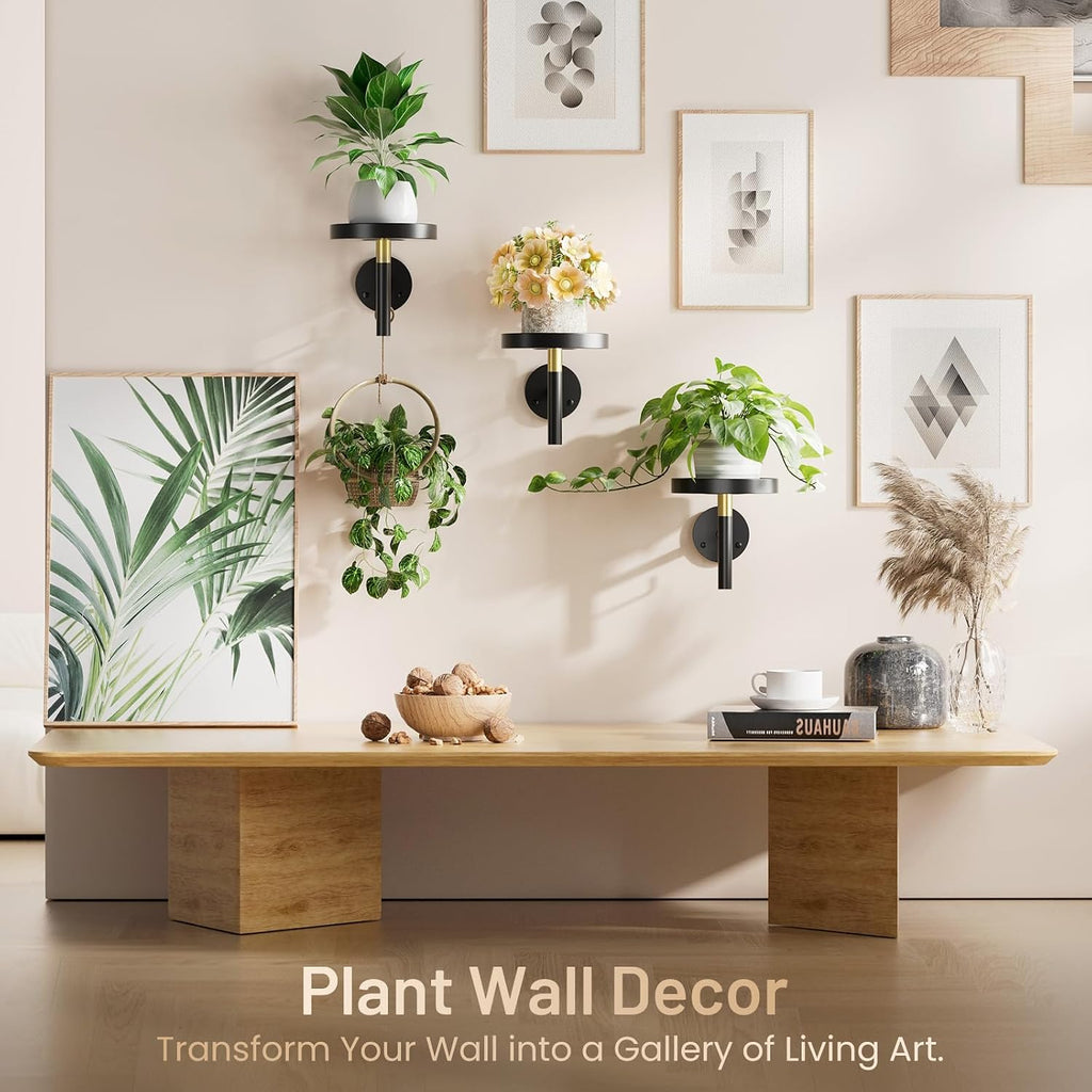 YUOROS 3 Pack Wall Plant Holder Wall Planters for Indoor Plants (Black) | Hanging Window Plant Shelves Hanger Decor