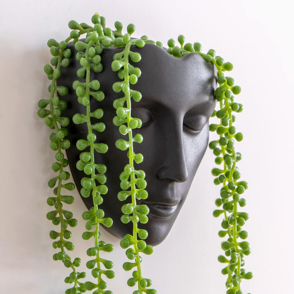 Modern Hanging Plant Holder Wall Planters for Indoor Plants, Multifunctional Wall Plant Holders and Hanging Planters