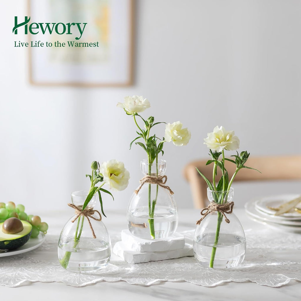 Hewory Avocado Seed Starter Vase: 3Pcs Glass Avocado Planter for Growing | Acorn Pit Sprouting Vases, Tree Pots
