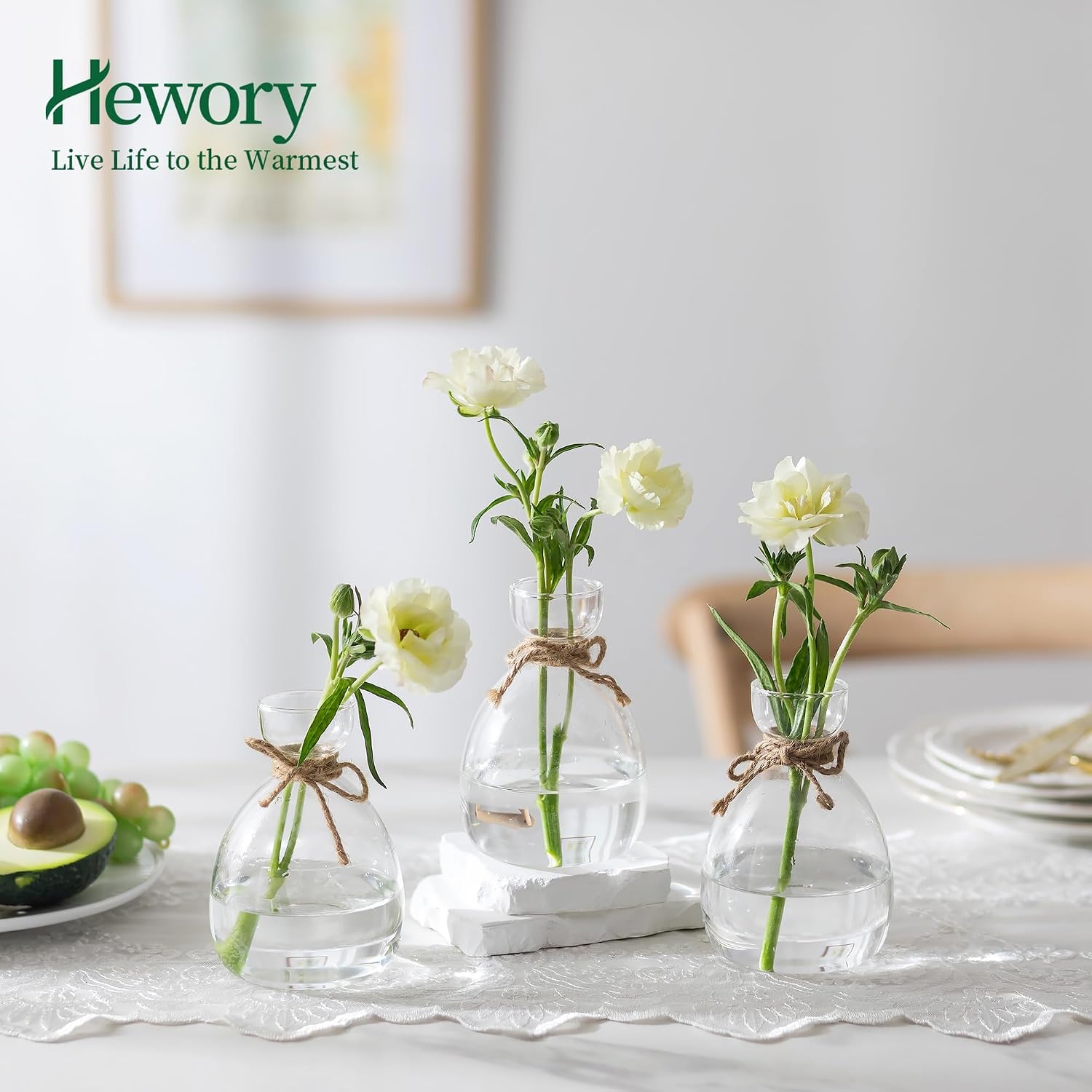 Hewory Avocado Seed Starter Vase: 3Pcs Glass Avocado Planter for Growing | Acorn Pit Sprouting Vases, Tree Pots