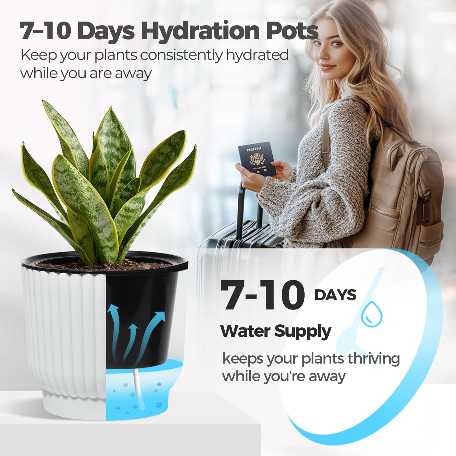 T4U Self Watering Pots for Indoor Plants, 6 Inch 6 Pack Planter White | African violet pothos ferns, Herb garden
