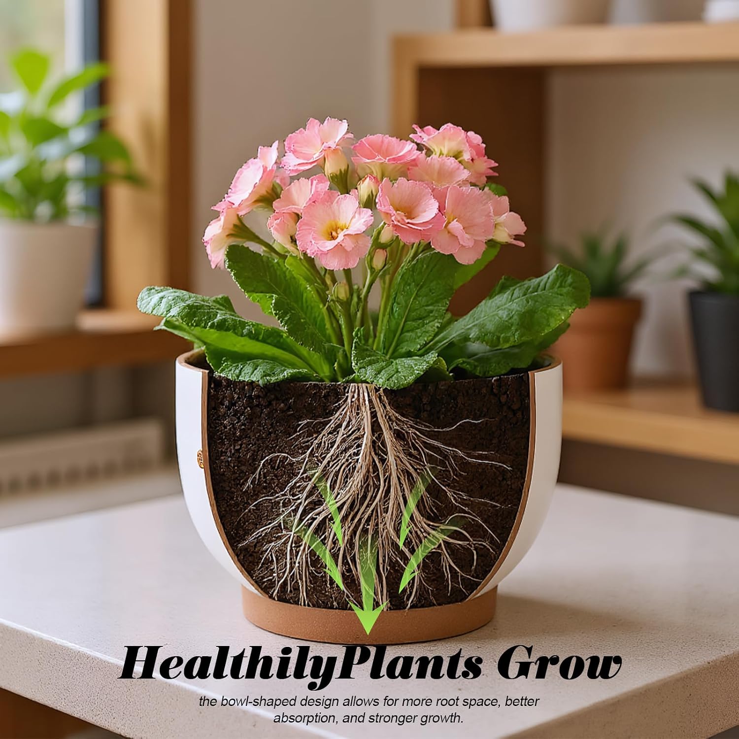 Terracotta Pots, 8+6 Inch Plant Pots, 2 Pcs with Drainage Holes | White & terracotta ceramic planters with botanical