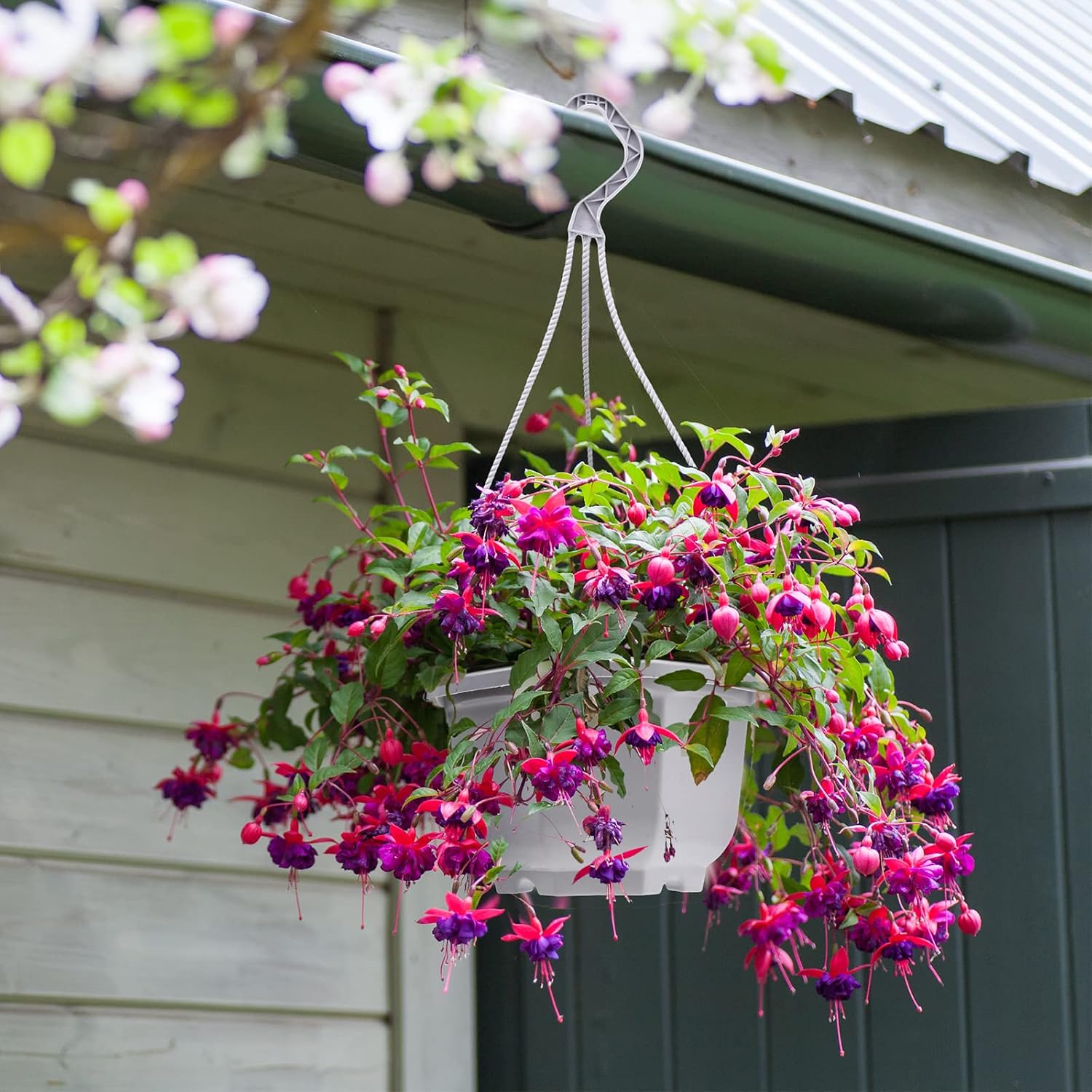 Roshtia 24 Pcs Hanging Plastic Planter Pot with Hook Flower Pots Baskets Hanging Nursery Planter Holder for Outdoor