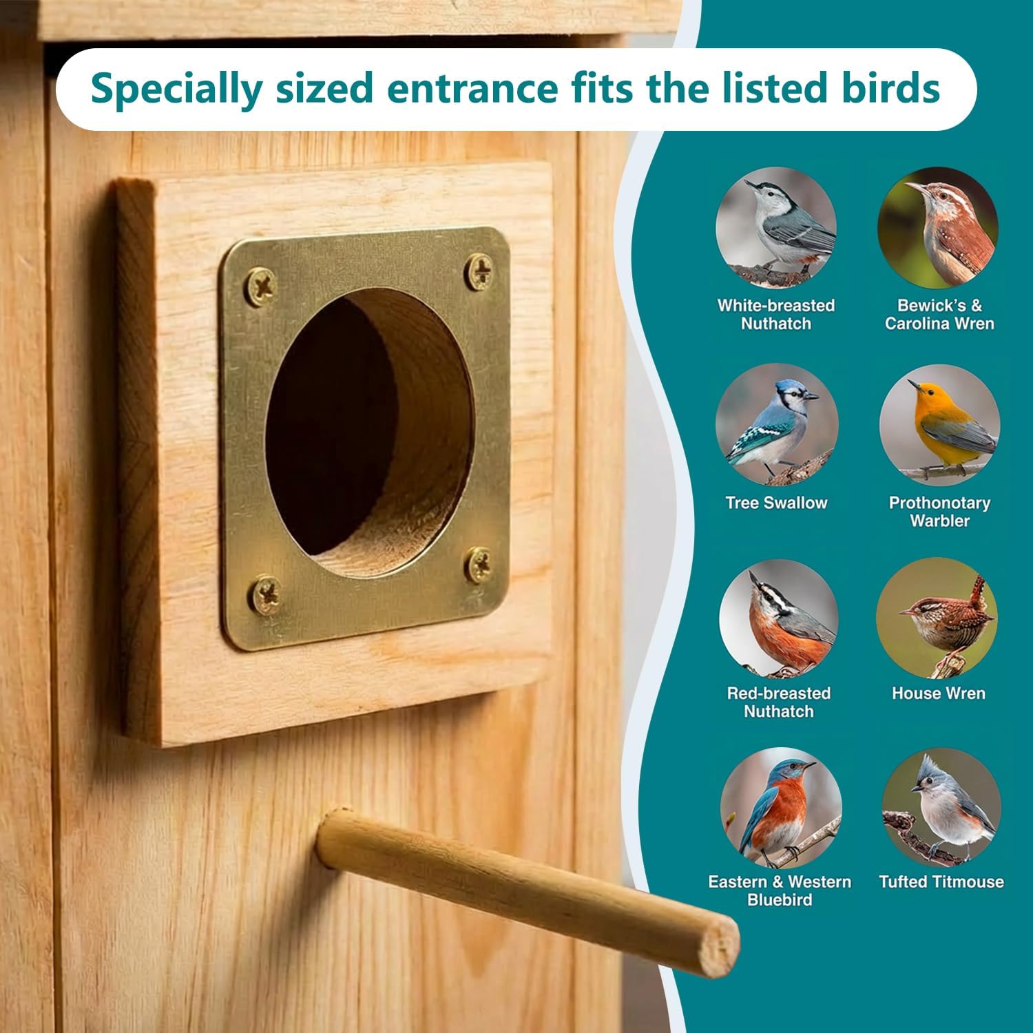 Bird Houses for Outside Clearance with Copper Guard, Pine Bird House Outdoor, Bluebird Finch Swallow Wren Chickadee No