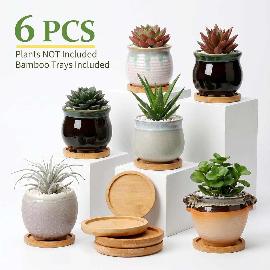 3.5 Inch Succulent Pot with Drainage,Planting/Flower Pots | Small Planter Pot for Mini Plant Ceramic Flowing Glaze Base