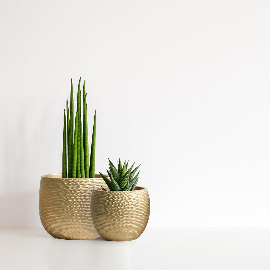 Olly & Rose Barcelona Ceramic Plant Pot Set 2 - Gold Flower Pots - Indoor & Outdoor Planters Home and Garden Decor