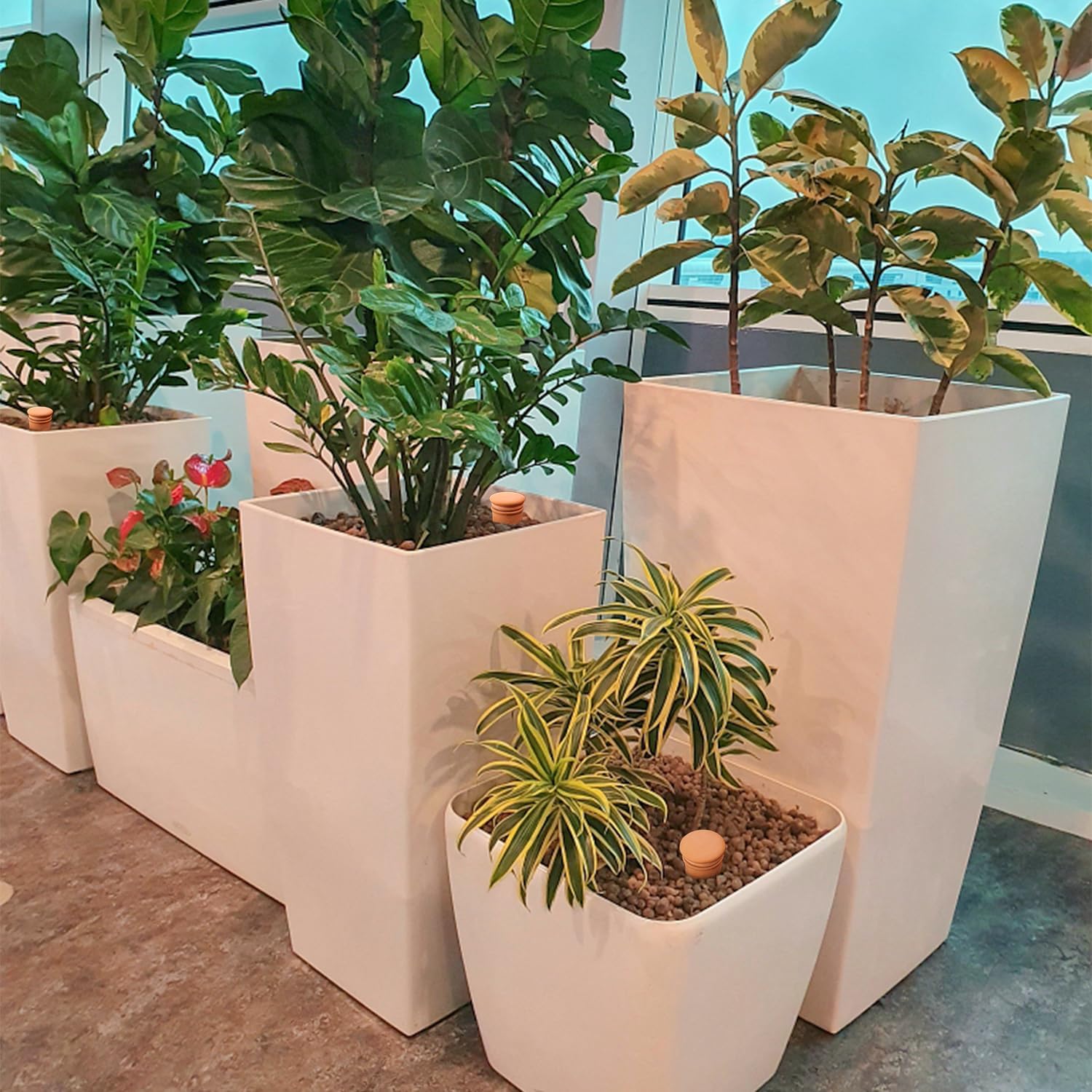 8pcs Ollas Self Watering Terracotta Planter Terra Cotta Clay Watering Spikes for Indoor Outdoor Plants - Large