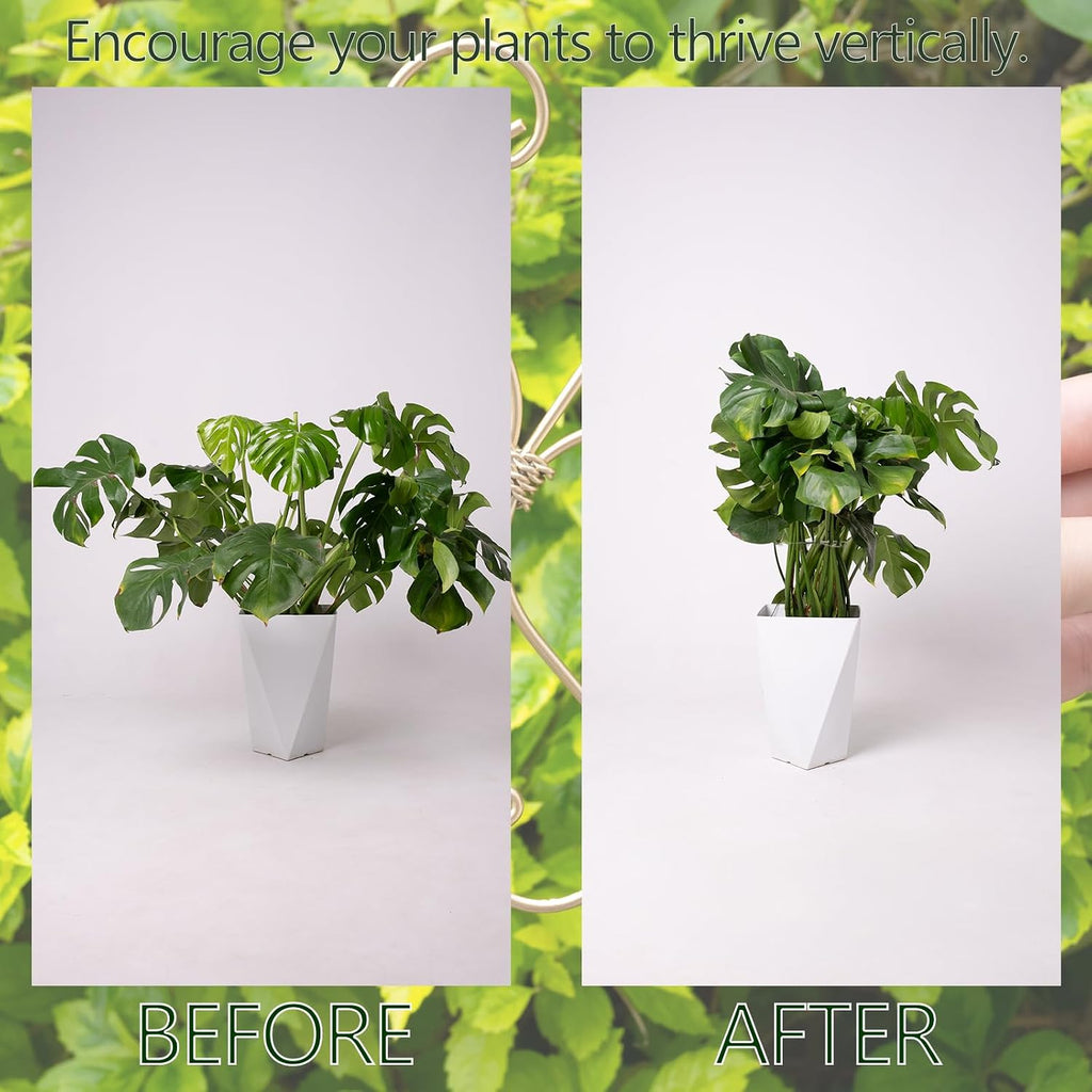 7.5In Monstera Plant Stem Support Hook Set-5PCS Metal stem Holder | Premium Stem Support for Monstera &