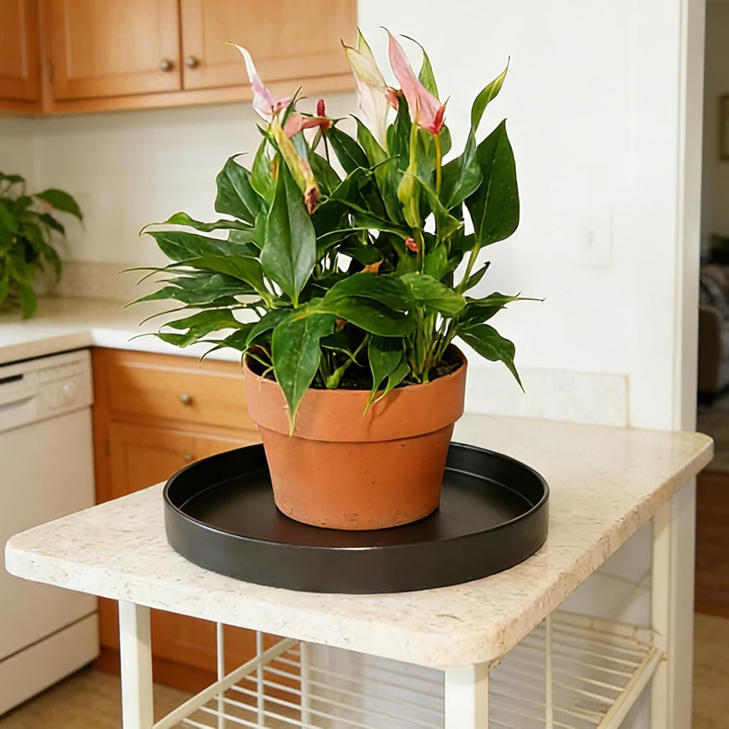 1 Pack 16 inch Plant Saucer Drip Tray, Heavy Sturdy Plastic Planter Flower Pot Drainage Tray Plate Saucers for Indoor