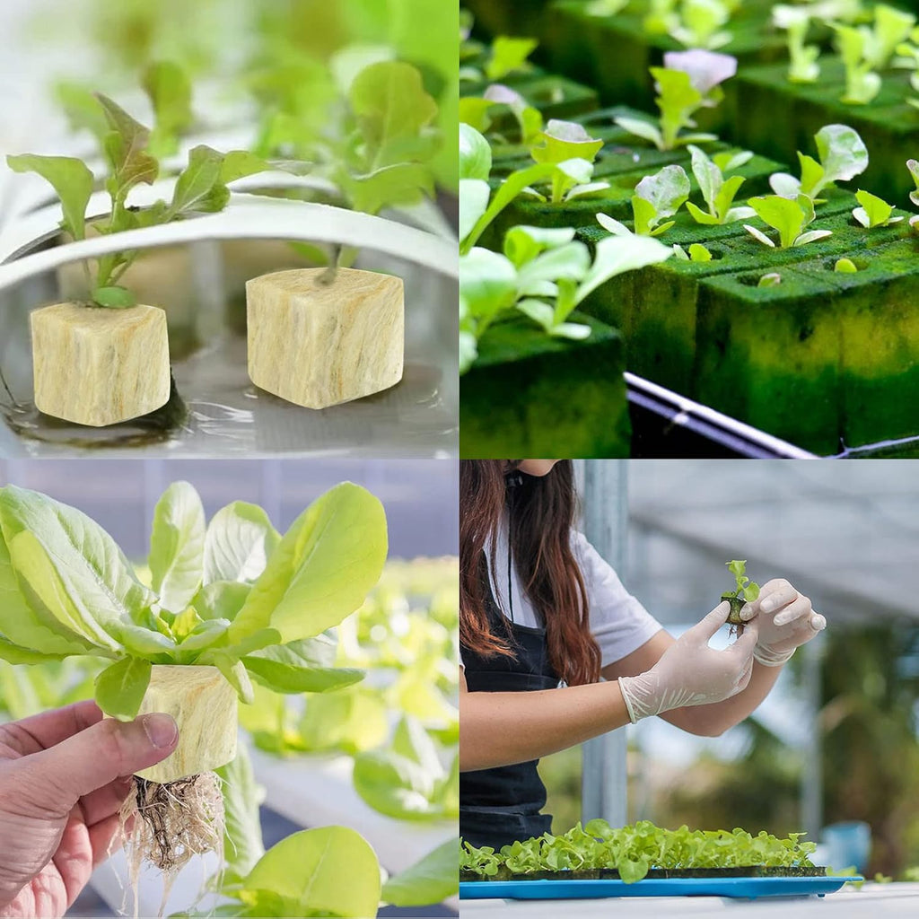 2 Inch Rockwool Cubes for Hydroponics Seed Starter, Rock Wool Planting Cubes Hydroponic Garden Grow Plugs for Soilless