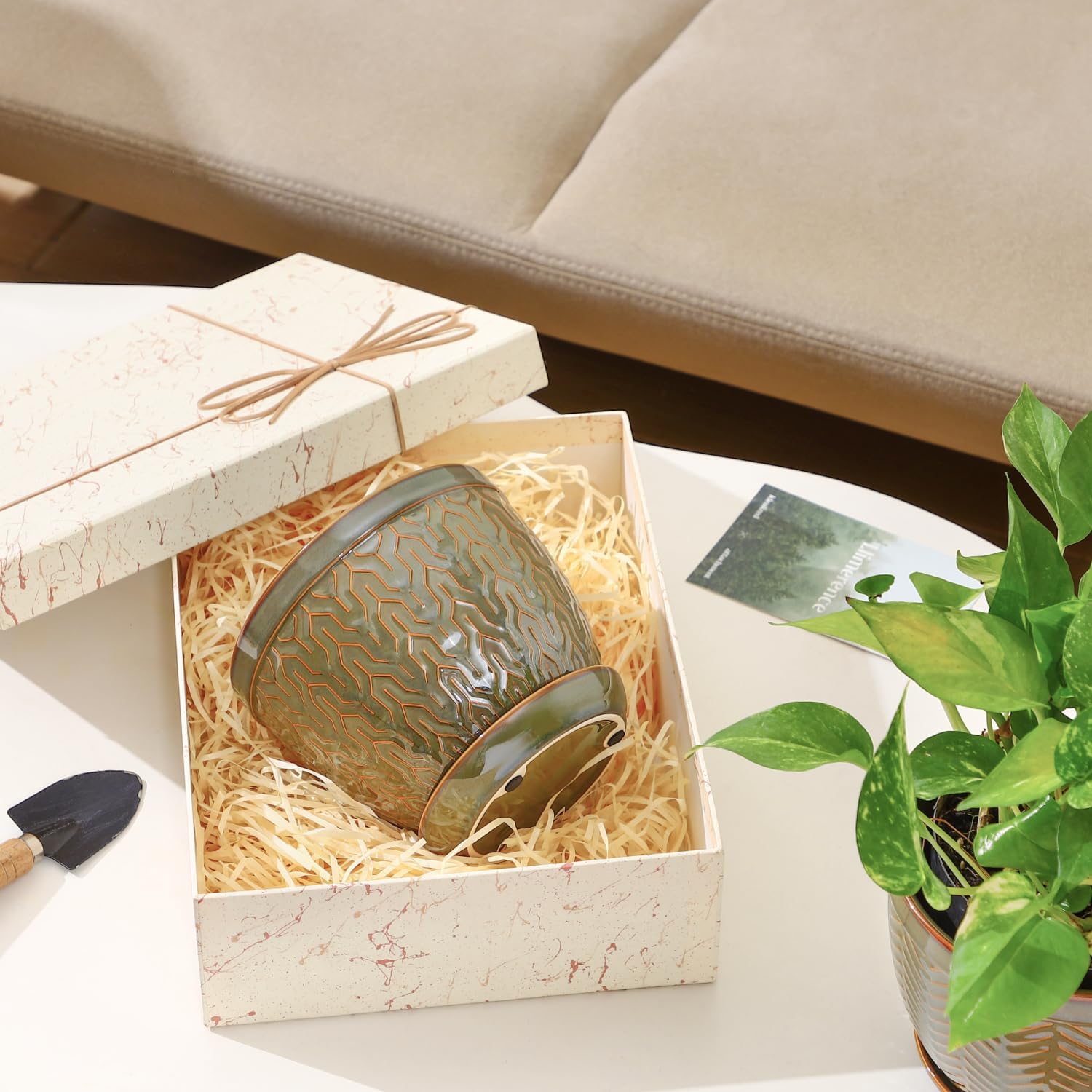 Sureasy 6.5 Inch Ceramic Plant Pots, Embossed Decorative Planters with Drainage Hole and Saucer, Modern Flower Pots for