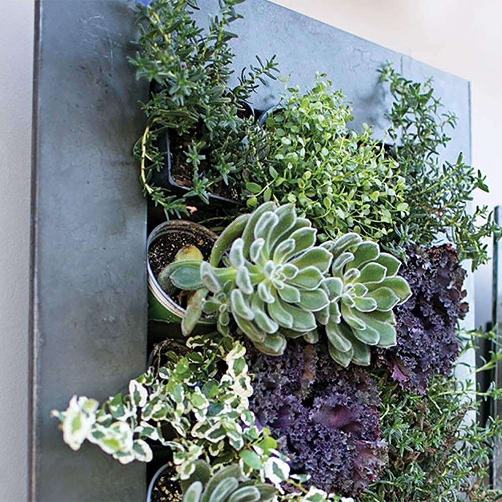 Modern Home Living Wall Galvanized Steel/Zinc Succulent Planter, Wall Mounted Garden Pocket Planter (18 Pocket, Rust