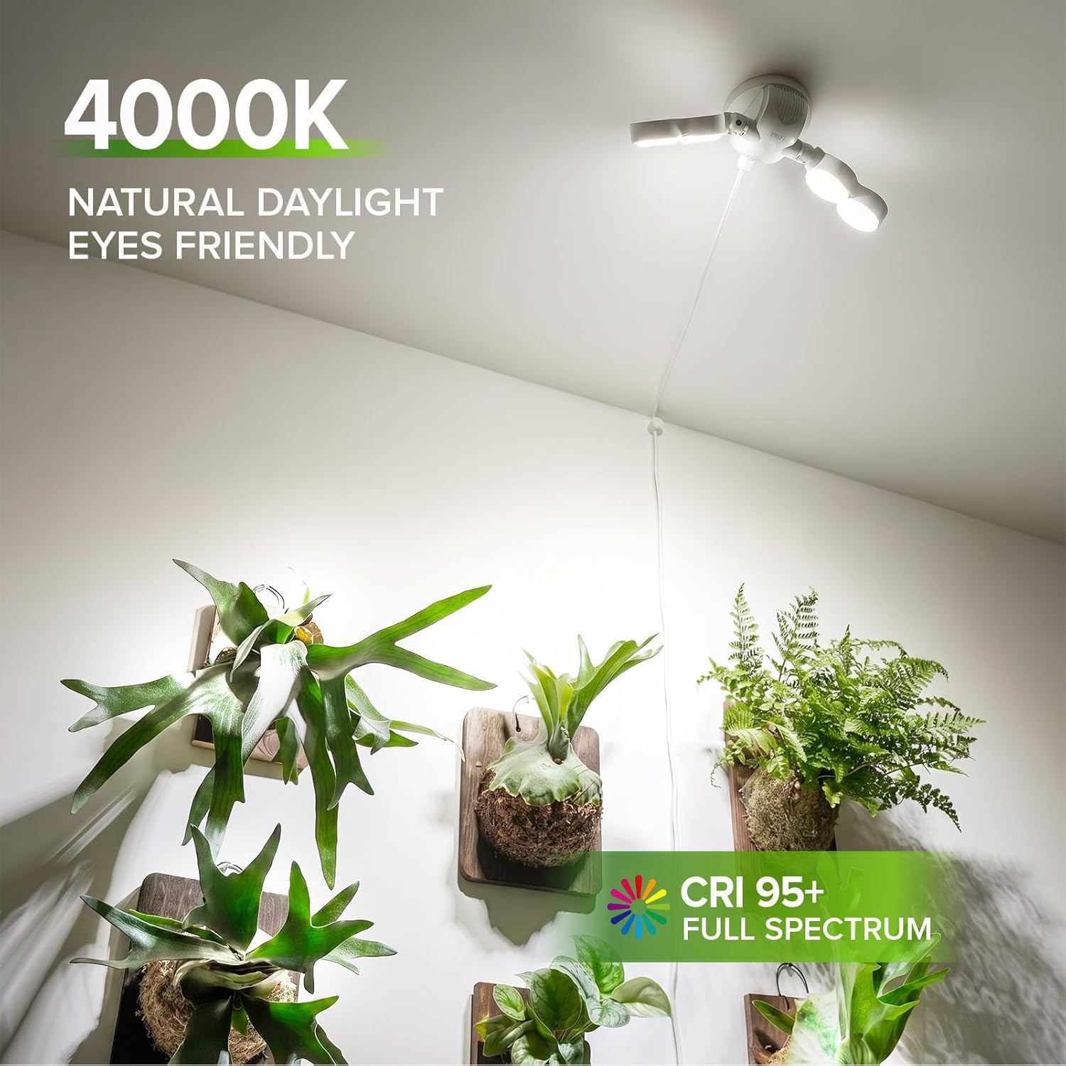 SANSI Wall Mounted Grow Light, 30W Dual Head Full Spectrum with Remote | Programmable Timer, 4-Level Dimmable