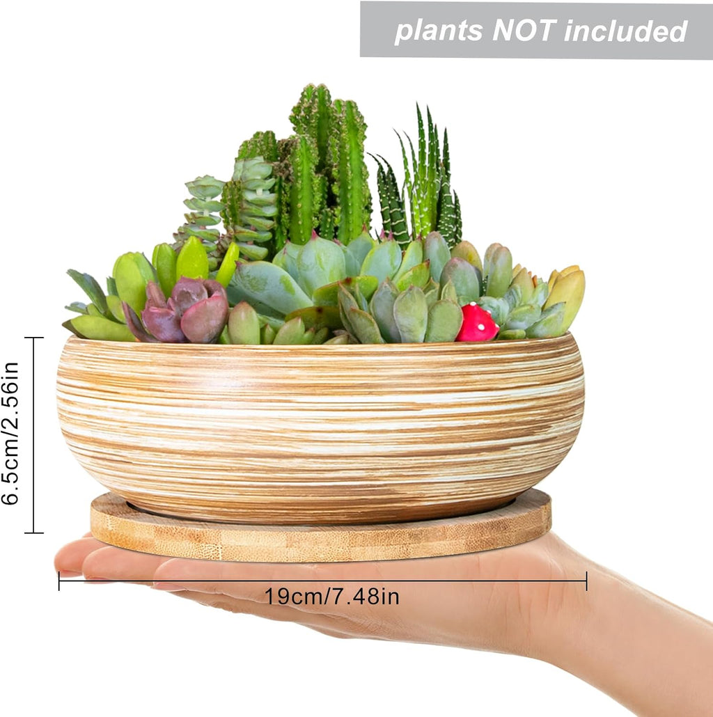 ARTKETTY Succulent Pots - 7.5 Inch Large Plant Pots with Bamboo Tray | Ceramic Bonsai Pots with Drainage, Shallow