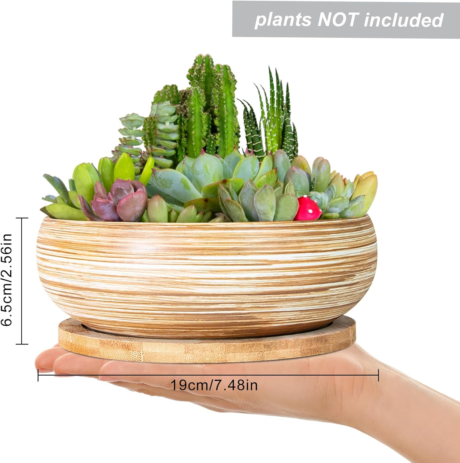 ARTKETTY Succulent Pots - 7.5 Inch Large Plant Pots with Bamboo Tray | Ceramic Bonsai Pots with Drainage, Shallow