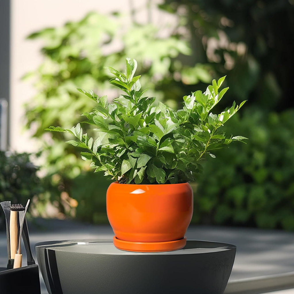 SQOWL Ceramic Plants Pots - 6 Inch Planter Indoor with Drainage Hole and Plant Saucer, Modern Round Planter Outdoor