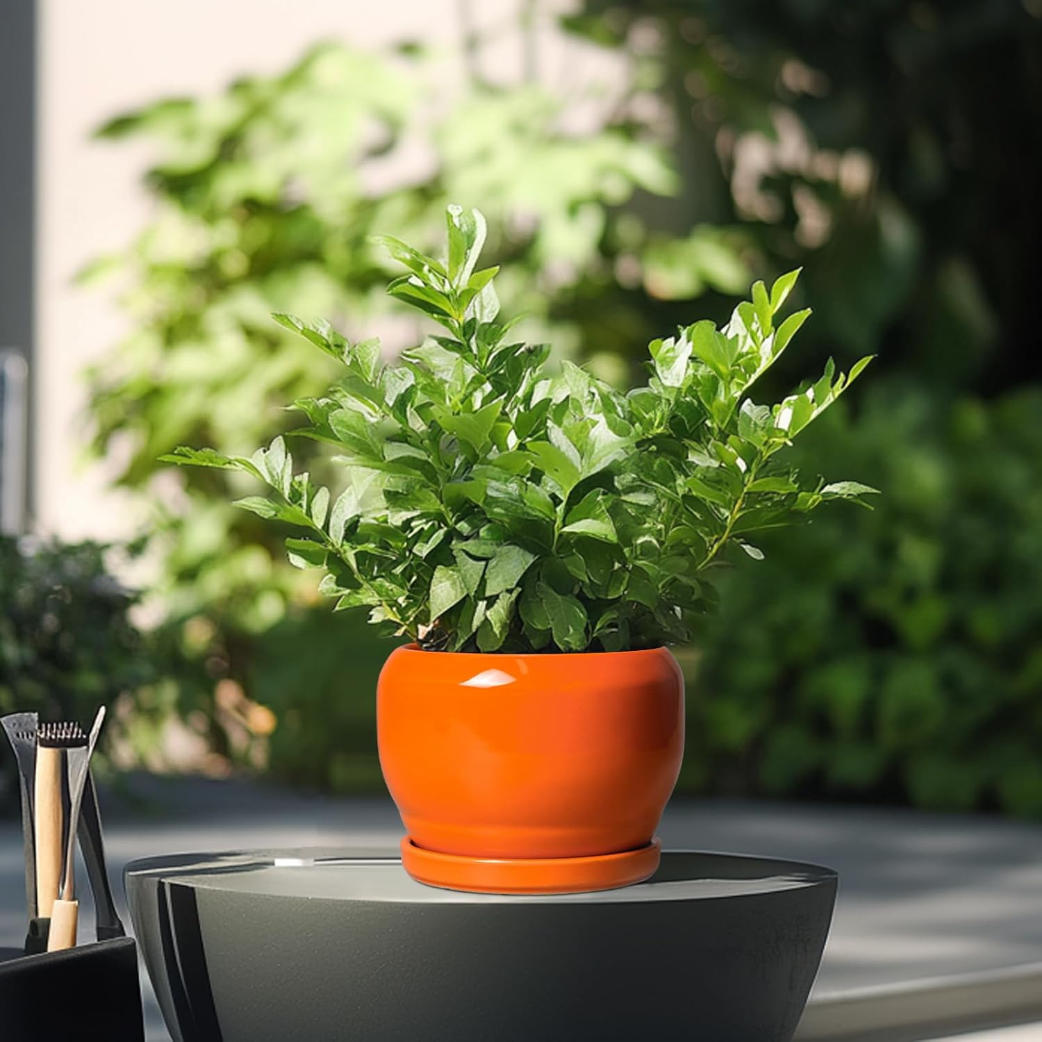 SQOWL Ceramic Plants Pots - 6 Inch Planter Indoor with Drainage Hole and Plant Saucer, Modern Round Planter Outdoor