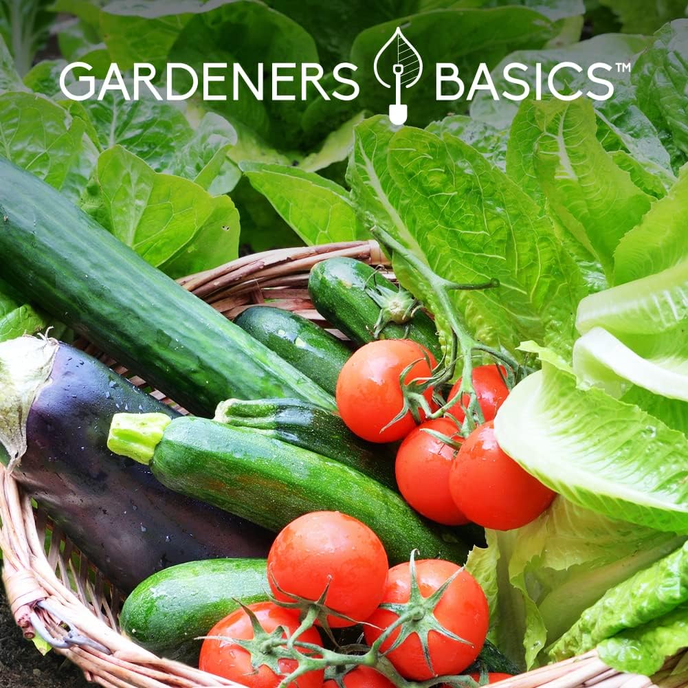 Gardeners Basics Seed Safe Kit - 35 Easy to Grow Heirloom Vegetable Seeds for Beginners - Non GMO Garden Starter Set