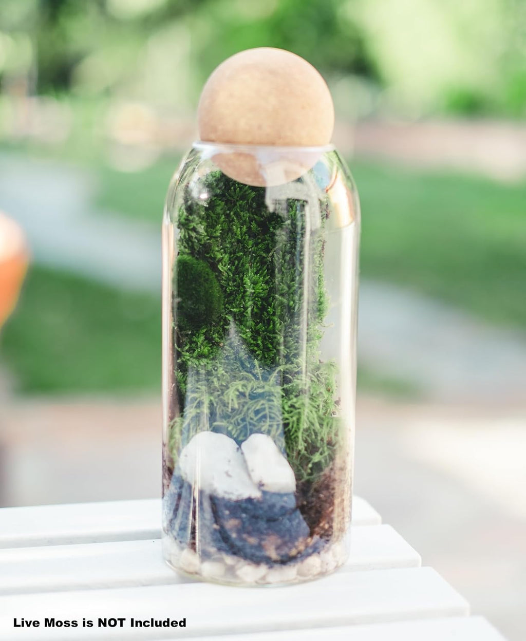 DIY Terrarium Kit with Closed Glass Bottle Container Planter with Lid (Ball Cork) | 2 Jars | Airtight Terrarium
