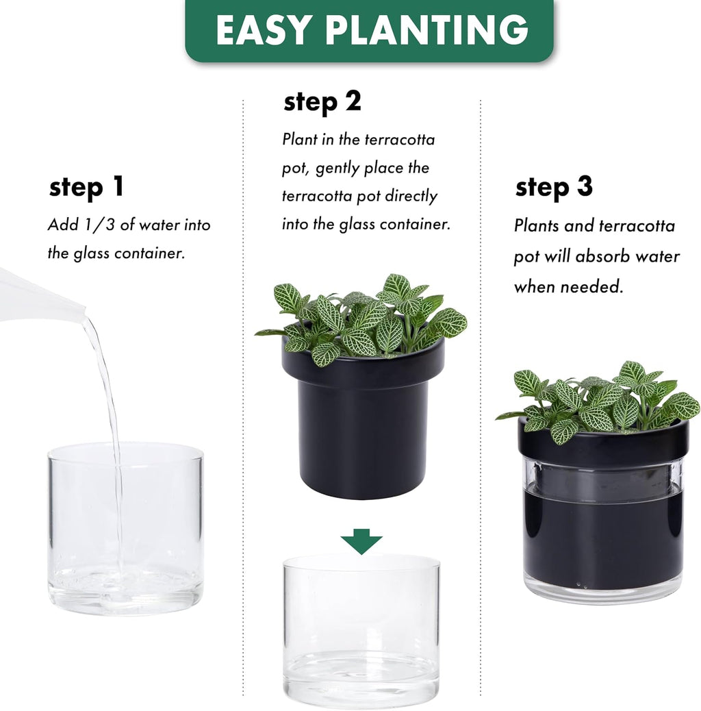 Phoenix Vine 4 Inch Self Watering Planter Pot, Black Terracotta Clay Pot with Glass Reservoir for Indoor Plants, Herbs