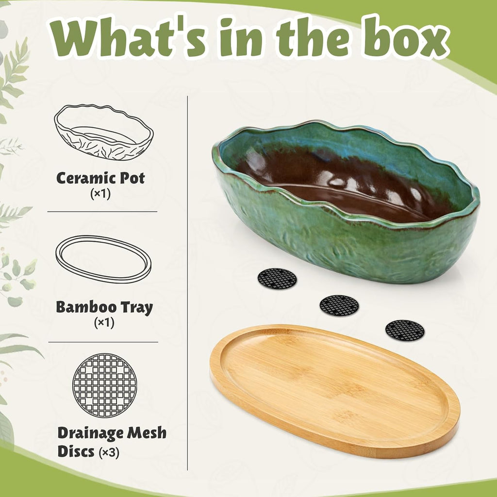 Succulent Pot 11 Inch Large Succulent Planters with Drainage Ceramic Bonsai Pot with Bamboo Tray Round Shallow Planter