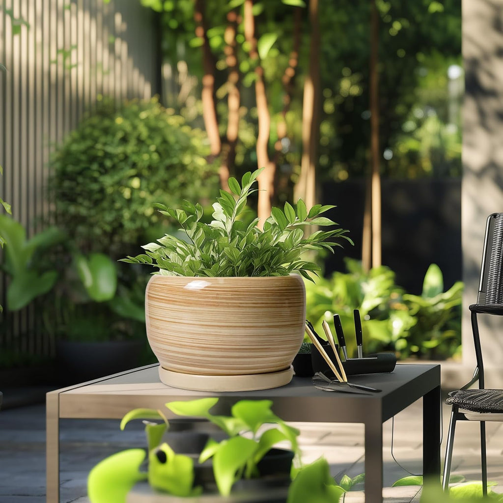 SQOWL Ceramic Plant Pot - 10 Inch Large Planter with Drainage Hole and Saucer, Round Modern Planter for Indoor Plant