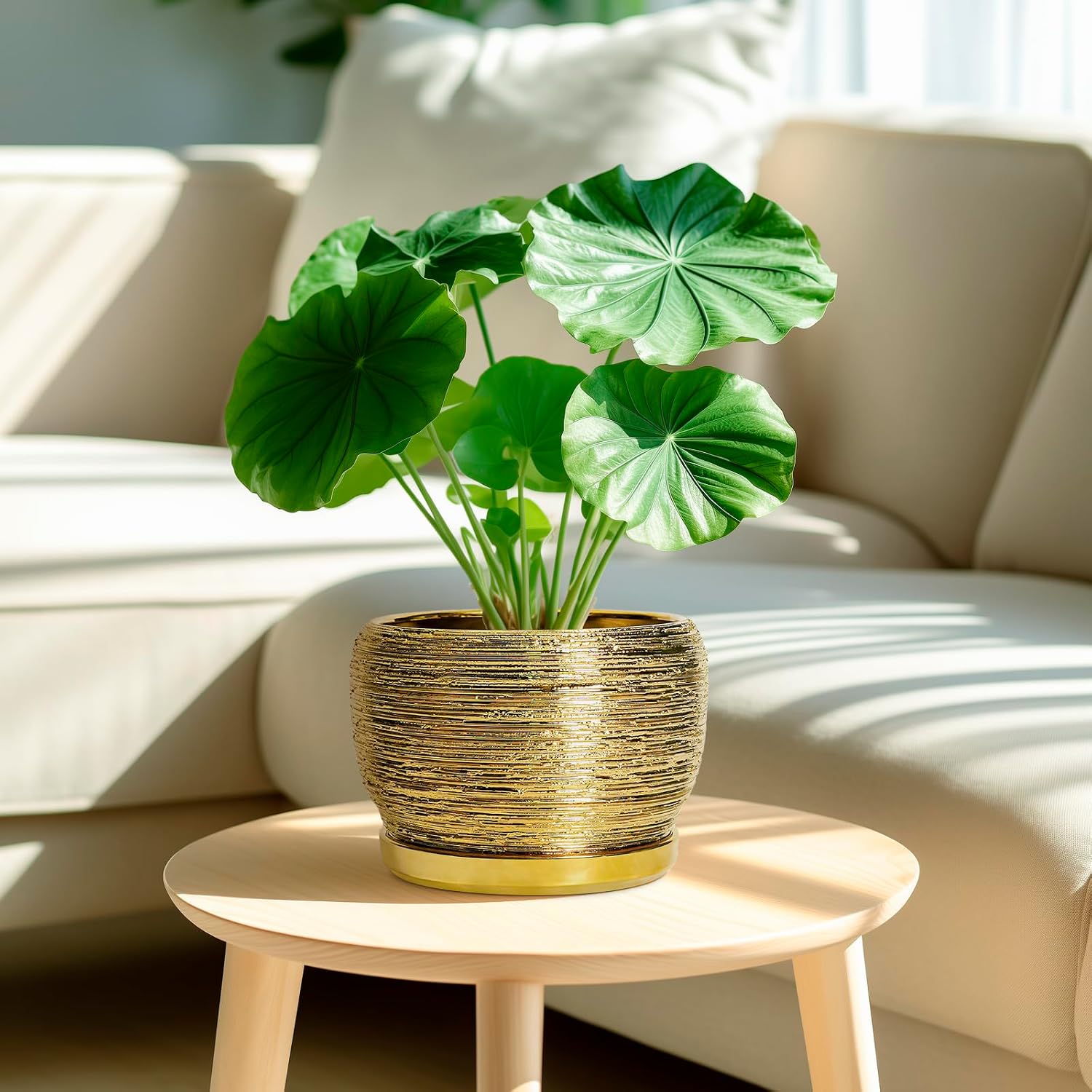 SQOWL Ceramic Flower Pot - 8 Inch Plant Pot Indoor Outdoor, Round Planter with Drainage Hole and Saucer, Decorative