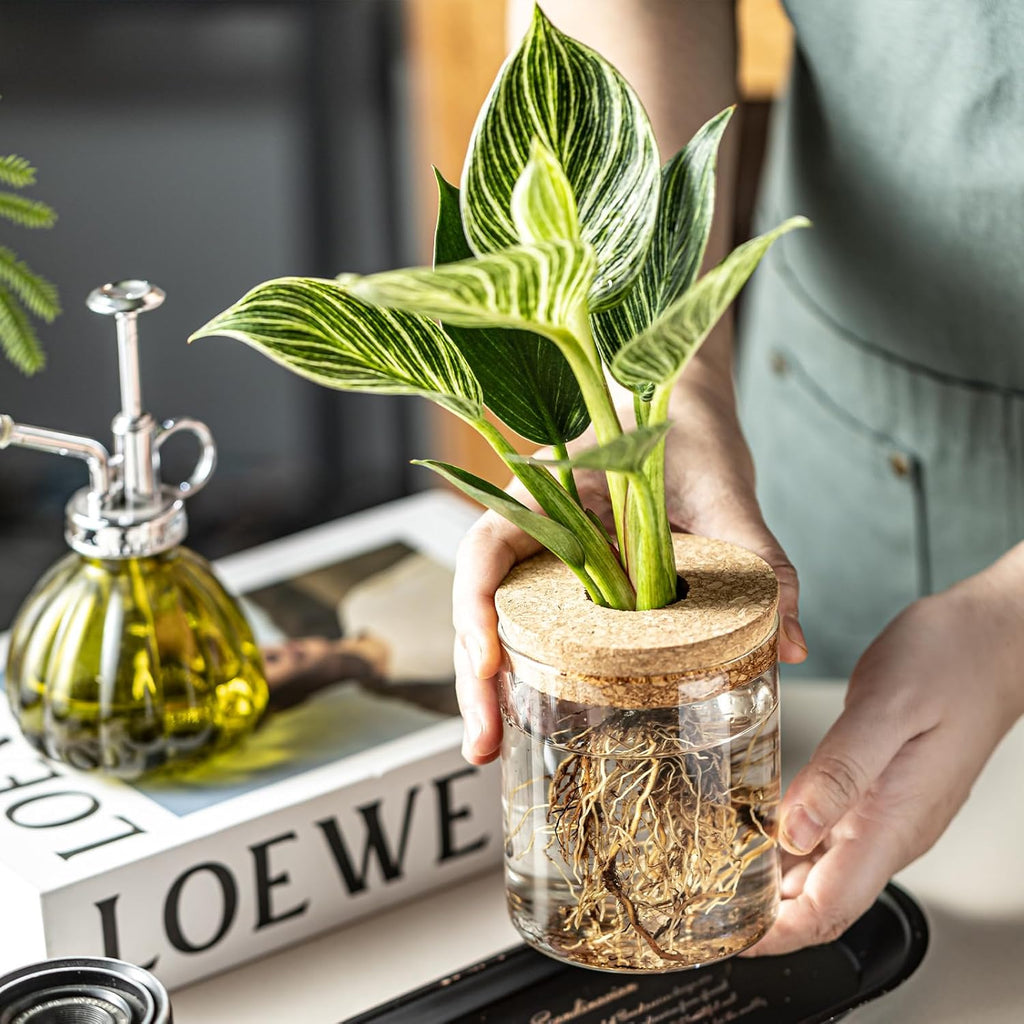 Glass Propagation Stations for Plants -Desktop Flower Vases,Propagation Flower Vases Set – 2 Large & 2 Small for Plant