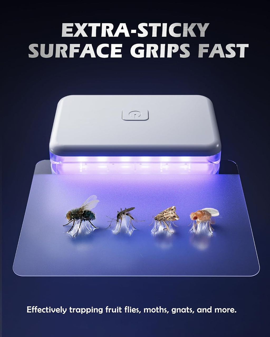 LFSYS Fruit Fly Traps for House Indoors Gnats, 3 Device+20 Refills | Plug in Fruit Fly Traps for Indoors, Flying
