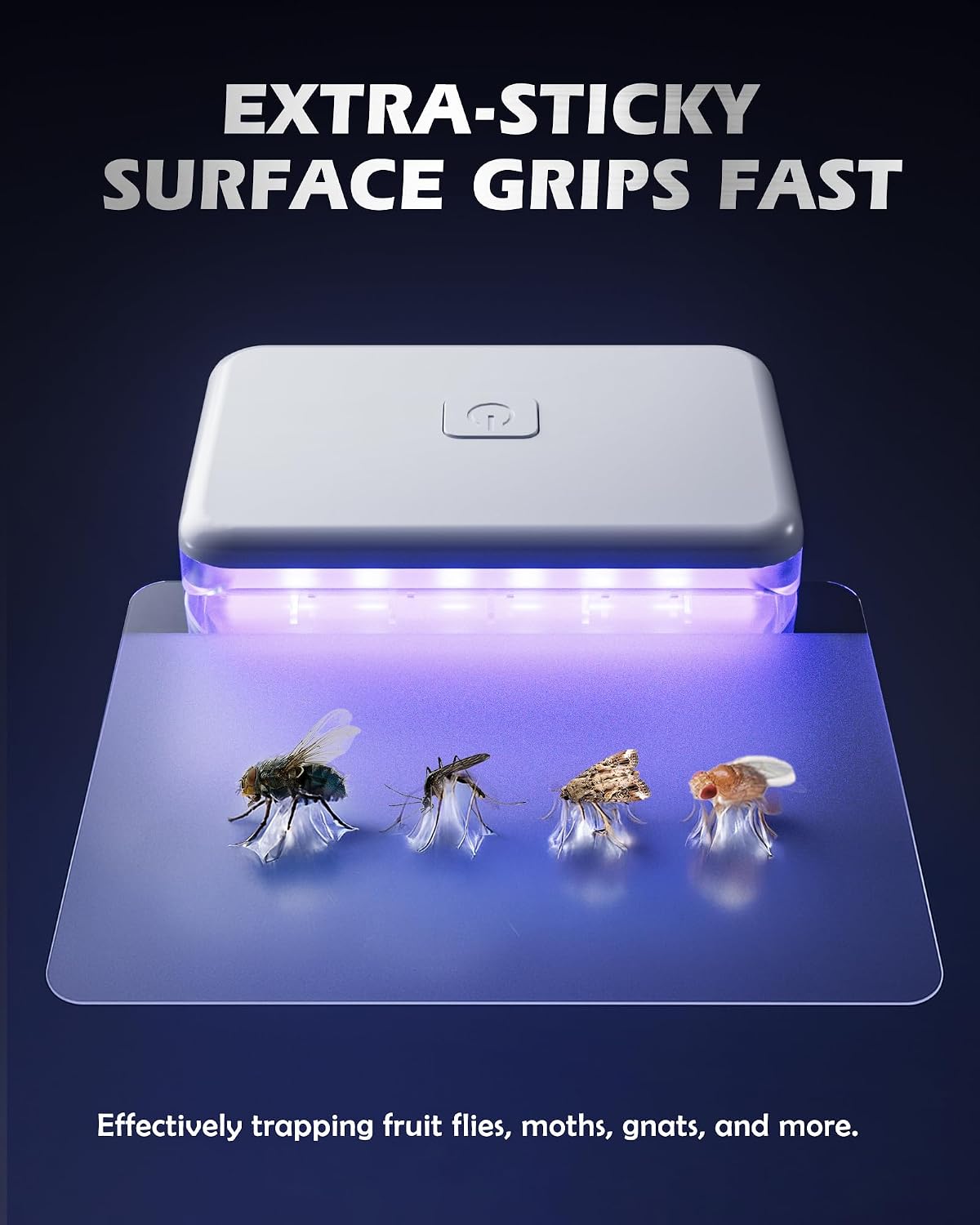 LFSYS Fruit Fly Traps for House Indoors Gnats, 3 Device+20 Refills | Plug in Fruit Fly Traps for Indoors, Flying