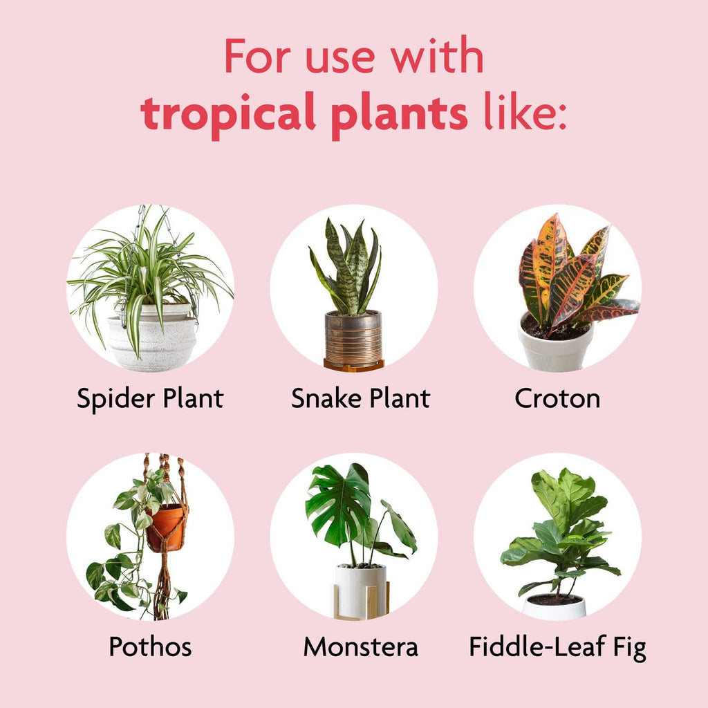 Gro Tropical Potting Mix, 6 qt. (2-Pack) | Growing Media for Tropical Plants Living in Indoor and Outdoor Containers